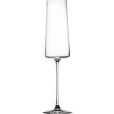 Ichendorf Milano Køkkentilbehør Ichendorf Milano Manhattan Flute Champagneglas 25cl