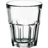 Snapseglas på tilbud Multi Granity hærdet Snapseglas