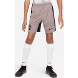122 Bukser & Shorts Nike Tottenham 3. Shorts 2023/24 Børn XS: 122128