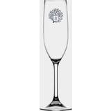 Blå - Plast Glas Marine Business i Living, skridsikre Champagneglas