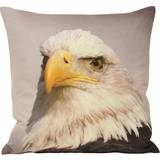 Riva Home Boligtekstiler Riva Home Animal Eagle Cushion Cover 45x45cm Multi