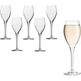 Stölzle Transparent Champagneglas Stölzle Vinea Lausitz Champagneglas 21cl