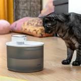 Kæledyr InnovaGoods Genopladelig drikkefontæne til katte sensor Refopet