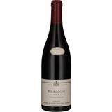 Vine 2021 Albert Sounit Bourgogne Rouge “Vieilles Vignes”-Bourgogne
