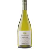 Vina Errazuriz 2022 Sauvignon Blanc, Aconcagua Costa 13.5% 75ml