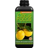 Citrus Focus special gødning for