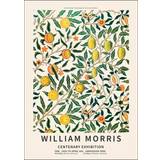 Gul Vægdekorationer Poster & Frame William Morris Studio William Morris Plakat 30x40cm