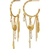 Smykker Maanesten Notus Earrings - Gold/Pearls