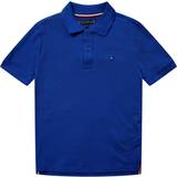128 Polotrøjer Tommy Hilfiger Teen Boys Royal Blue Cotton Polo Shirt year
