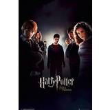Brugskunst Harry Potter der orden des phönix Poster