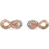 Krystal Ringe Ladies Endless Dream Rose Gold Crystal Earrings UBE03262RG