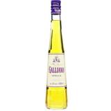 Galliano Øl & Spiritus Galliano Vanilla 0,5l 50 cl