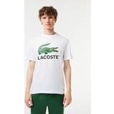 Lacoste Jersey T-shirts & Toppe Lacoste Cotton Jersey Signature Print T-shirt White