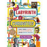 The Labyrinth of Curiosities Fay Moss-Rider 9781250254979 (Indbundet)