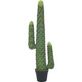 Brugskunst Europalms Mexikanischer Kaktus Künstliche Pflanzen