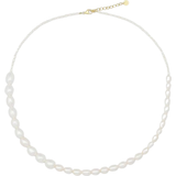 Perle halskæde Sorelle Jewellery Windy Necklace - Gold/Pearl