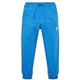 Tom Tailor M Bukser & Shorts Tom Tailor Jogginghose Strong Palace Blue blau