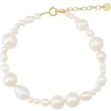 Sorelle Jewellery Shine Bracelet - Gold/Pearl