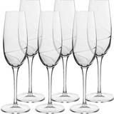 Krystalglas Champagneglas Luigi Bormioli Aero Champagneglas 23.5cl 6stk