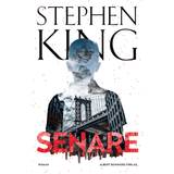 Senare Stephen King (E-bog)