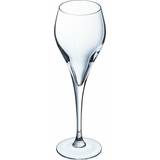 Arcoroc Champagneglas Arcoroc Brio Champagneglas 16cl