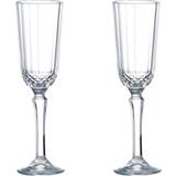 Ravenhead Transparent Glas Ravenhead Winchester Champagneglas 13cl 2stk