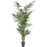 Newport Dekorationer Newport Kentia Palm Green Kunstig plante