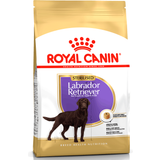 Royal Canin Kæledyr Royal Canin Sterilised Labrador Retriever 12kg