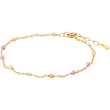 Gul Armbånd Pernille Corydon Rainbow Bracelet - Gold/Multicolour