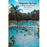 Magnesia Springs In Alachua County, Florida: Then and Now
