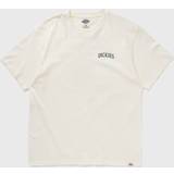 Dickies Beige T-shirts & Toppe Dickies Elliston Short Sleeve T-Shirt Man Cloud