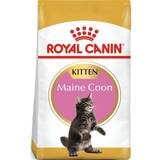 Royal Canin Maine Coon Kitten 4kg