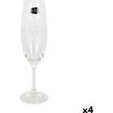 Beige Glas Crystalex Lara Champagne Drikkeglas 6stk
