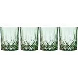 Grøn Whiskyglas Lyngby Glas Sorrento Green Whiskyglas 32cl 4stk
