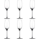 Rosenthal Glas Rosenthal Thomas Divino Champagneglas 19cl 6stk