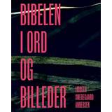 Religioner & Filosofier Bøger Bibelen i ord og billeder Lisbeth Smedegaard Andersen
