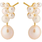 Guld Smykker Pernille Corydon Ocean Treasure Earsticks - Gold/Pearl