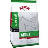 Arion voksne Kæledyr Arion Adult Large Lamb & Rice 12kg