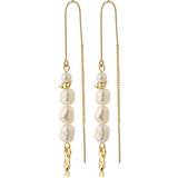 Smykker Pilgrim Berthe Chain Earrings - Gold/Pearl