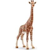 Giraffer Figurer Schleich Giraffe Female 14750