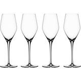 Opvaskemaskineegnede Champagneglas Spiegelau Authentis Champagneglas 27cl 4stk
