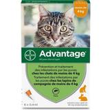 Advantage Kæledyr Advantage Anti-parasites Cat Rabbit 1-4 Kg