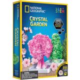 Eksperimenter & Trylleri National Geographic Crystal Garden