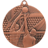 Volleyballbold Ronze Medal Triumph Volleyball