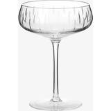 Grå Champagneglas Louise Roe Coupe Champagneglas
