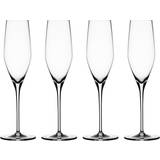 Glas - Opvask i hånden Champagneglas Spiegelau Authentis Champagneglas 19cl 4stk