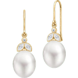 Krystal Smykker Julie Sandlau Tasha Earrings - Gold/Pearls/Transparent