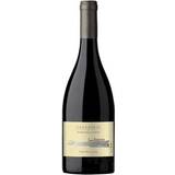 Vina Errazuriz 2020 Pinot Noir, Pizarras 13.5% 75ml