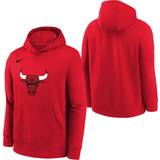 Supporterprodukter Nike Chicago Bulls Essential Logo Hoodie – Jugendliche