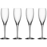 Erika Lagerbielke Champagneglas Orrefors More Champagneglas 18cl 4stk